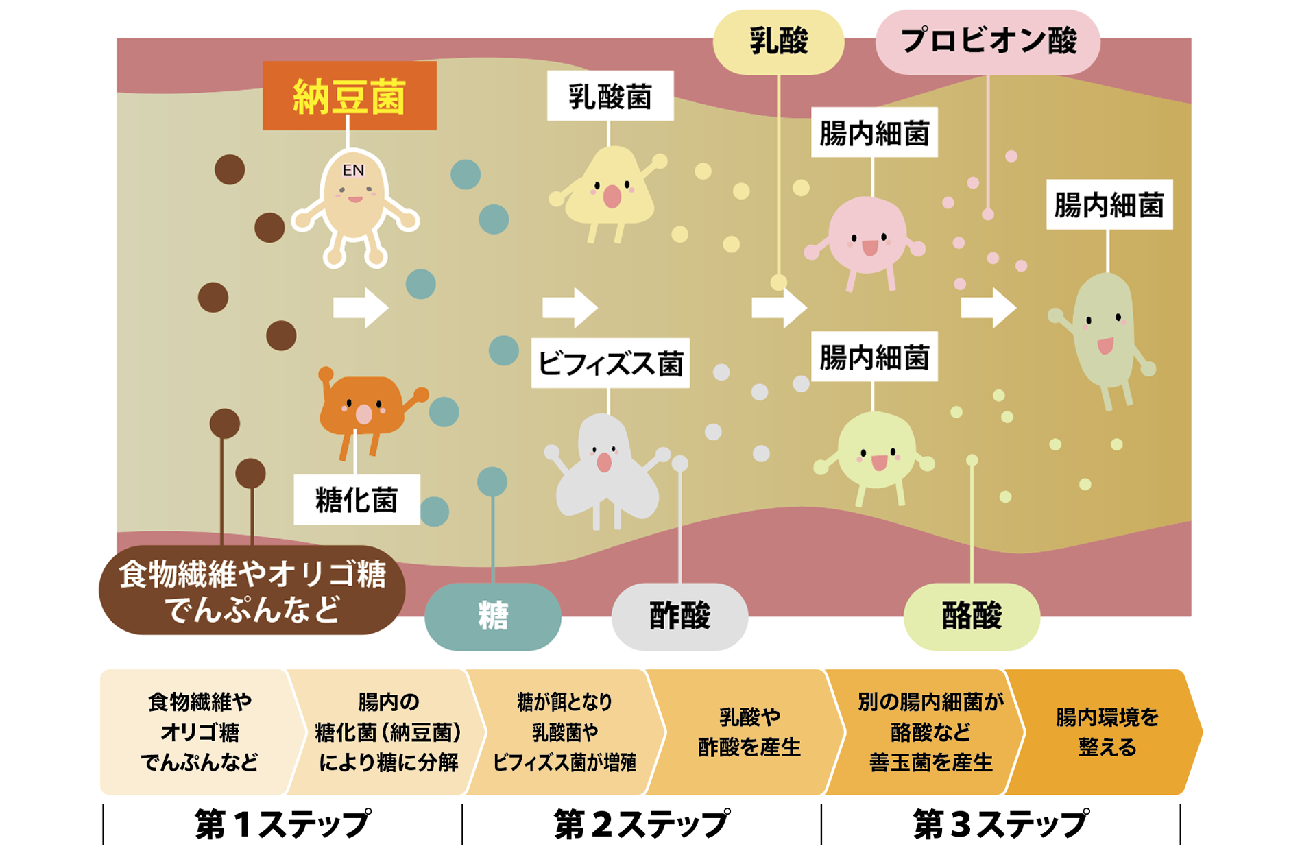 菌のリレーのイメージ